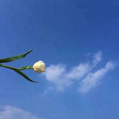 炫龙记手游官方下载